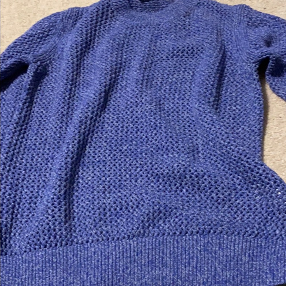 Everlane cotton knit sweater